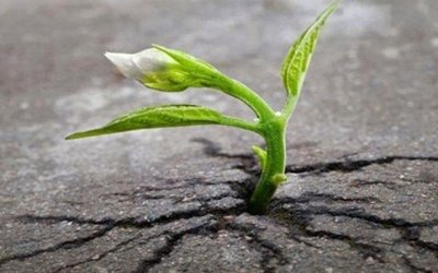 Thời gian sống trong ung thư: Hiểu đúng để vững tâm điều trị và nâng cao chất lượng sống