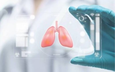 Cập nhật tổng quan về điều trị miễn dịch cho ung thư biểu mô tế bào gan