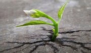 Thời gian sống trong ung thư: Hiểu đúng để vững tâm điều trị và nâng cao chất lượng sống