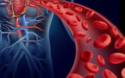 Cơn đau do hồng cầu hình liềm liên quan đến pefilgrastim và filgrastim